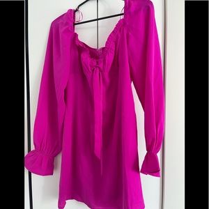 Fuschia long sleeve dress- never been worn